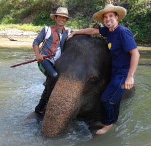 DSC00479 opt 300x290 Mahout training in northern Thailand