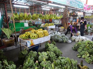 bananas opt 300x225 Mahout training in northern Thailand