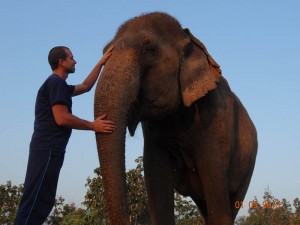 kiss2 opt 300x225 Mahout training in northern Thailand