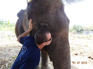 kiss opt 300x225 Mahout training in northern Thailand
