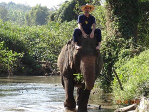 trek02 opt 300x225 Mahout training in northern Thailand