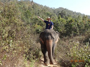 trek03 opt 300x225 Mahout training in northern Thailand